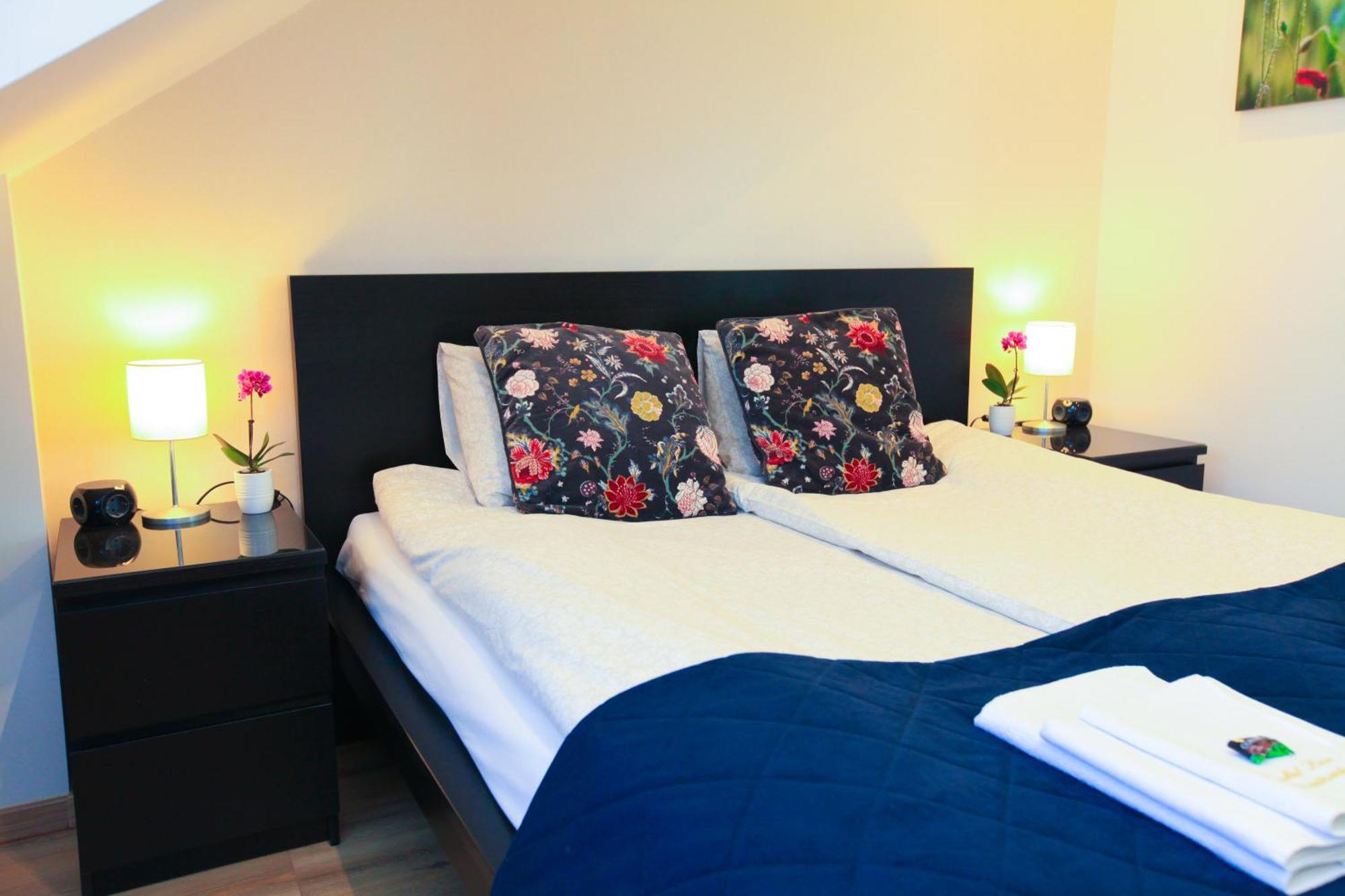Paskal-lux With Free Parking And Ac Budapesta